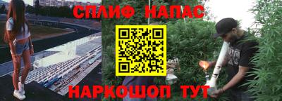 эйфоретик Кимры
