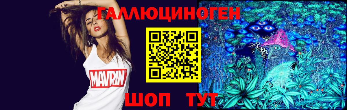 Галлюциногенные грибы Psilocybe  Вход с VPN  Керчь 